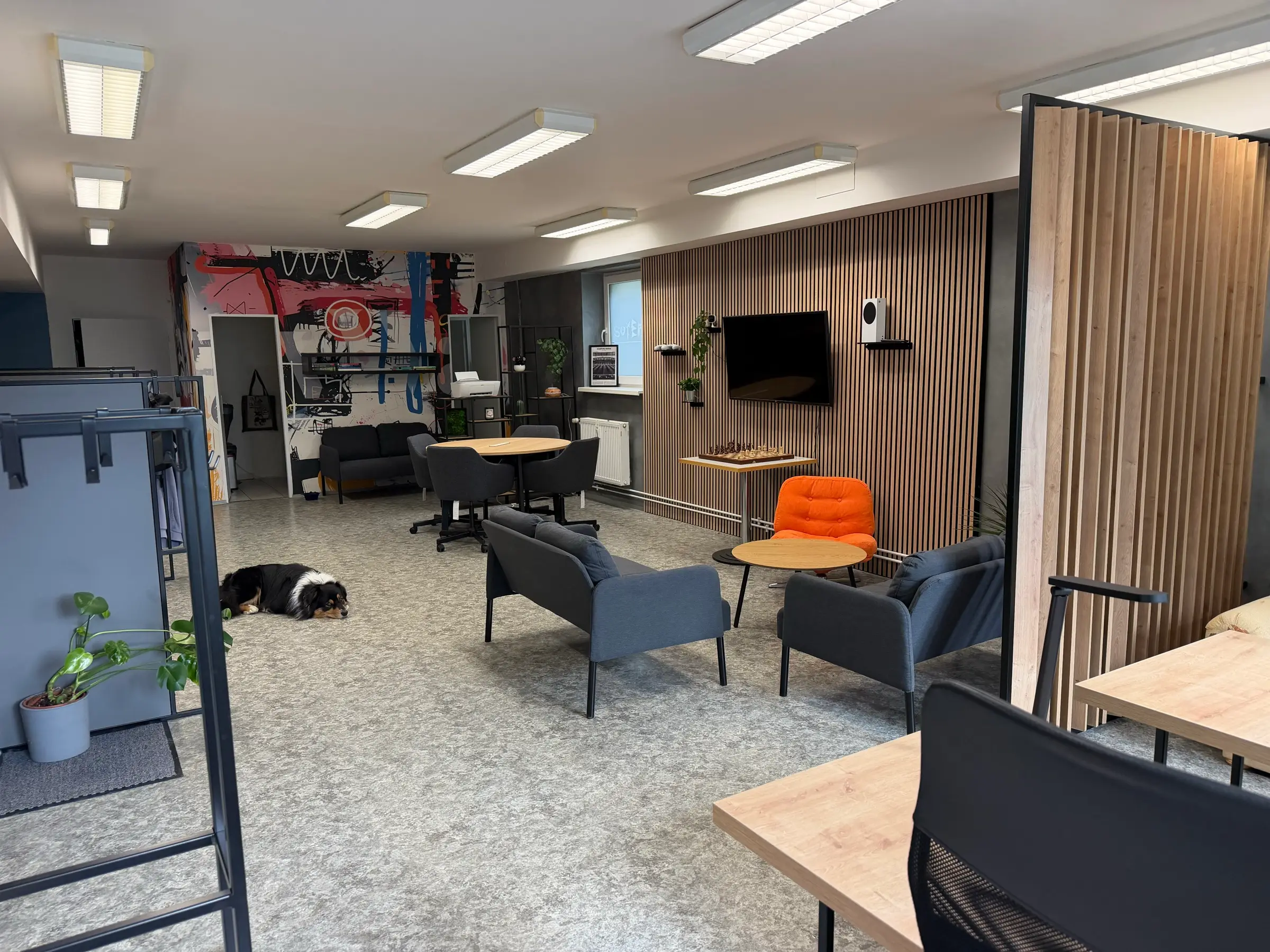 Prostor se psem odpočívajícím na podlaze, pet friendly